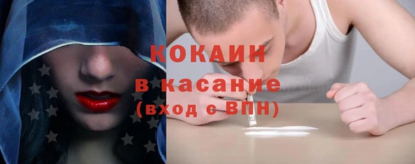 прущие грибы Елизово