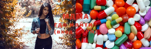 стаф Алексин
