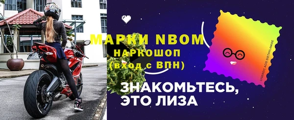 стаф Алексин